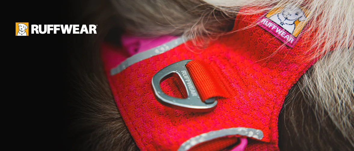Gear Built for Every Horizon